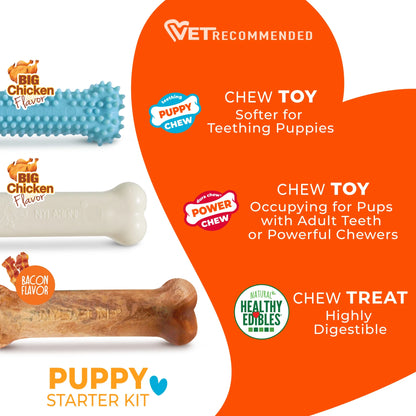 Puppy Chew Starter Kit Chew Toy with Healthy Edibles Chew Treat Chicken & Bacon Blue Small (3 Count)