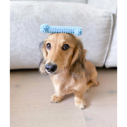 Puppy Chew Starter Kit Chew Toy with Healthy Edibles Chew Treat Chicken & Bacon Blue Small (3 Count)