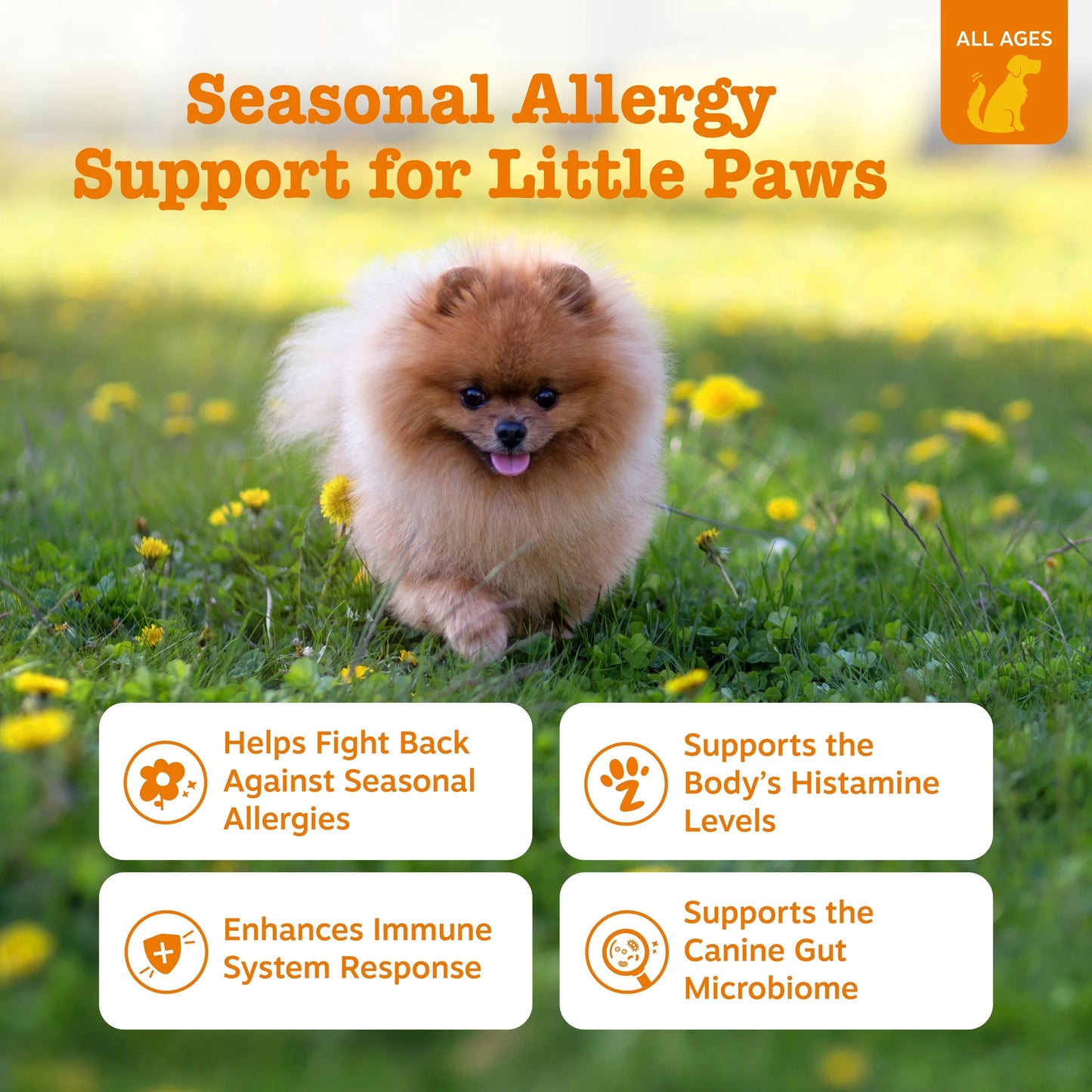 Allergy & Immune Mini Bites for Small Dogs, for Seasonal Allergies, Immune + Sensitive Skin & Gut Health, Lamb Flavor, 90Ct