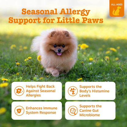 Allergy & Immune Mini Bites for Small Dogs, for Seasonal Allergies, Immune + Sensitive Skin & Gut Health, Lamb Flavor, 90Ct