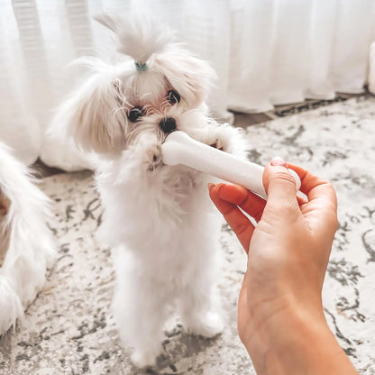 Puppy Chew Starter Kit Chew Toy with Healthy Edibles Chew Treat Chicken & Bacon Blue Small (3 Count)