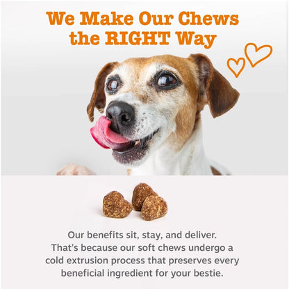 Allergy & Immune Mini Bites for Small Dogs, for Seasonal Allergies, Immune + Sensitive Skin & Gut Health, Lamb Flavor, 90Ct