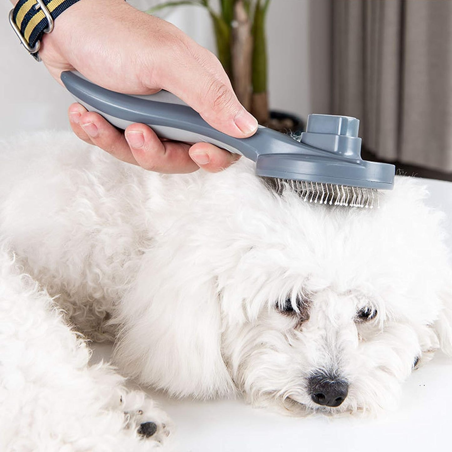 Self Cleaning Slicker Brushes for Dogs Cats Pet Grooming Brush Tool Gently Removes Loose Undercoat-Dog & Cat Will Love with This Grooming Brush (Grey)